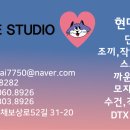 현대나염 이미지