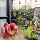 조하상점 | [여행] 드디어 런던 #2