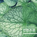 (주)청림조경