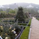 장미정원 - 아산시 송곡길 190-12 | 장미정원