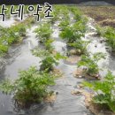 현기농장 이미지