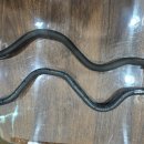 장인자동차부분정비 이미지