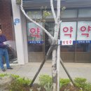 차귀도 약국 이미지