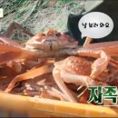 바다식당경주 이미지