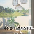 또또시스테이 | 제주 대가족 감성숙소 추천 또또시스테이 협재 펜션
