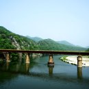 출렁다리 이미지