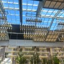 에스 | W.02-3 청주 에스가든 웨딩홀 후기(계약했어욤)