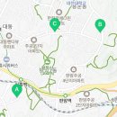용인대 대동 태권도 이미지