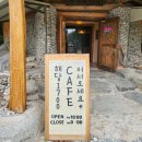 전남 신안 증도 정원이 예쁜 카페, 해당1700☕