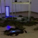 공간변형 이미지