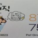포항애견 이미지