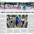 하늘표고버섯 이미지
