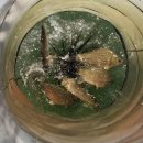 후산낚시터 이미지