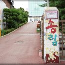 송림 초등학교 이미지