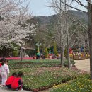 웰빙공원 이미지