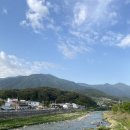 5월 감꽃 10월 홍시 | 5월 감꽃 10월 홍시 * 산내면 숙소