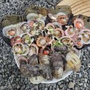 남도모텔 | 완도 일주일 살기 - 먹거리들과 숙소