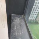 [터치클린 종합관리서비스] 새 공간 같은 기분! 영등포청소업체 후기