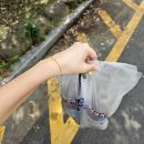 경산시립교향악단 제5회 정기연주회 | 25년 9월 중순 기록