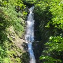 산어울림 산악회4월2일 쌍계사 십리벚꽃길 이미지