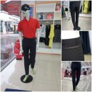 팜스프링스 이미지