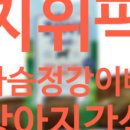 픽독 이미지