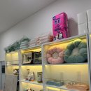 김해 강아지분양 베베몽 이미지