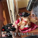 가야금 | 아람채 한옥스튜디오 은평 돌촬영 돌스냅 내돈내산 후기 어좌 가야금 까꿍컨셉