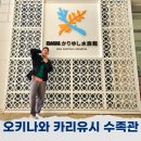 중부로 | 오키나와 카리유시 수족관 입장권 중부 여행 추천 후기