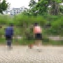 노인요양원 다정마을 이미지