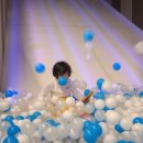 스피드플라워 이미지