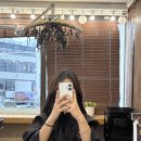 박승철헤어스투디오 마포점 | 박승철헤어스투디오 마포점 뿌리염색 후기👩‍🦰