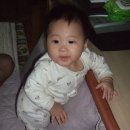 인형의 거리(뱀) 이미지