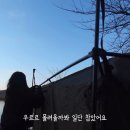 여자 솔로캠핑 유튜버가 겪은 텐트 무단 침입 사건 이미지