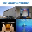 색연필로 그리는 부안 풍경 | 전북 부안 실내 아이와 가볼 만한 곳 국립새만금간척박물관