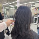 한진 E. L. C | 르블라썸 강남 히레 디자이너님께 받은 자연스러운 레이어드 C컬펌후기! / 역삼역 미용실