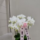 해송메디칼 이미지