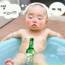 술 도둑놈 이미지