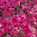 도화보건지소 이미지