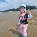 GR(서천군)-5[갯벌체험로]-하-1 | 서천 바다정원펜션 패밀리실 후기*조개잡이/망둥어낚시/불꽃놀이 가능한 서천 펜션! (feat.서천특화수산...