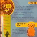 베네딕도유치원 이미지