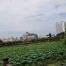 정아약국 네이버블로그