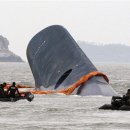 세월호 구조작업에 대한 외신들의 평가: 한마디로 개판! 이미지