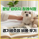 분당 강아지 장례식장 비용·후기, 반려견 화장 시설 소개