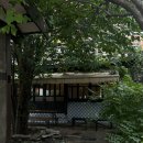 포레스트모가 이미지