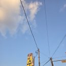 수막창 이미지
