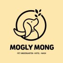 모글리몽 | [광주 애견유치원 추천] 하남 모글리몽