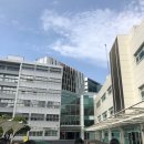 세빈 인터내셔날 | 경희대 뉴질랜드 전공연수 2탄 (Auckland University of Technology 학교탐방, Albert park, skycity...