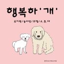 행복하 개 이미지