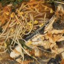 [조원동 명인수산] 통우럭 한 마리가 통째로 들어간 깊고 진한 매운탕 점심특선 후기